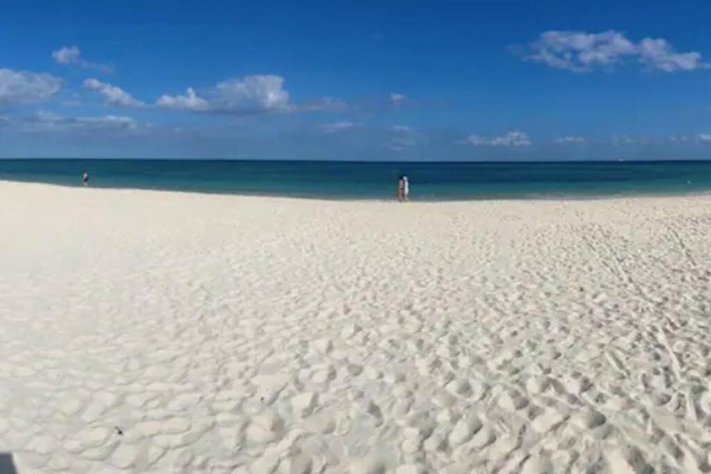 Mareazul Beachfront Apartment 2Br Private Pool Casa Ancora Плая-дель-Кармен Экстерьер фото